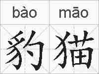 豹猫的拼音
