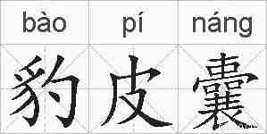 豹皮囊的拼音