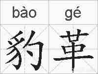 豹革的拼音