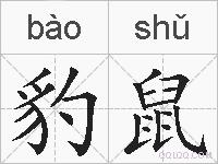 豹鼠的拼音