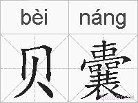 贝囊的拼音