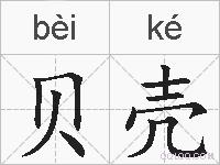 贝壳的拼音