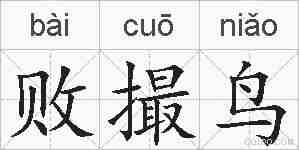 败撮鸟的拼音