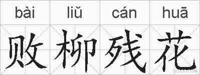 败柳残花的拼音
