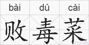 败毒菜的拼音
