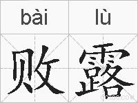 败露的拼音