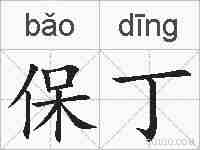 保丁的拼音