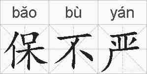 保不严的拼音