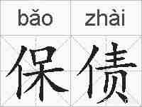 保债的拼音