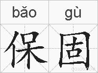 保固的拼音