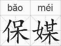 保媒的拼音