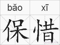 保惜的拼音
