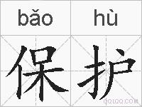 保护的拼音