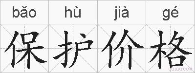 保护价格的拼音