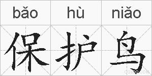 保护鸟的拼音