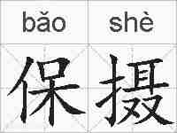 保摄的拼音