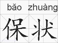 保状的拼音