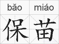 保苗的拼音