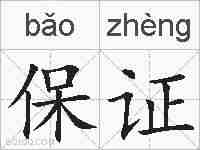 保证的拼音