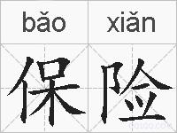 保险的拼音