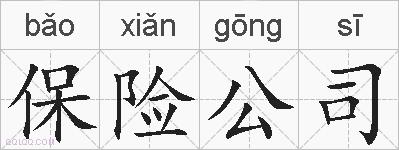 保险公司的拼音