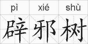辟邪树的拼音