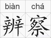 辨察的拼音