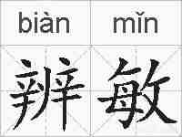 辨敏的拼音