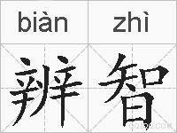 辨智的拼音