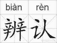 辨认的拼音