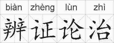 辨证论治的拼音