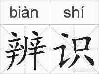 辨识的拼音