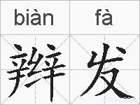 辫发的拼音