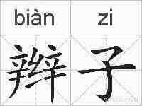 辫子的拼音
