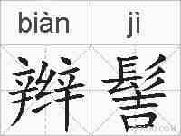 辫髻的拼音