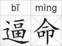 逼命的拼音