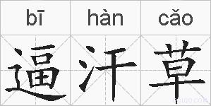 逼汗草的拼音