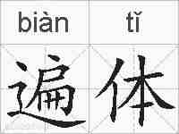 遍体的拼音
