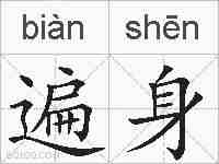 遍身的拼音