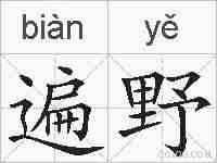 遍野的拼音