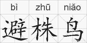 避株鸟的拼音