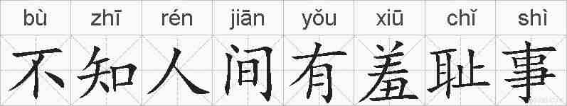 不知人间有羞耻事的拼音