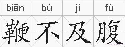 鞭不及腹的拼音