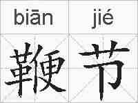 鞭节的拼音