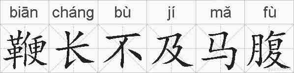 鞭长不及马腹的拼音