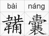 韛囊的拼音
