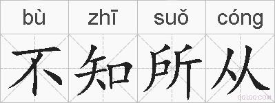 不知所从的拼音
