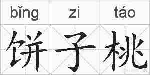 饼子桃的拼音