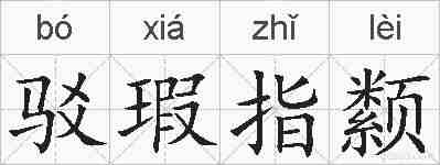 驳瑕指颣的拼音