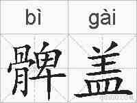 髀盖的拼音